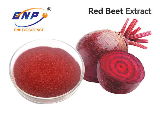 紫色の果物と野菜の粉は100%の自然な赤カブの根のエキスを補う