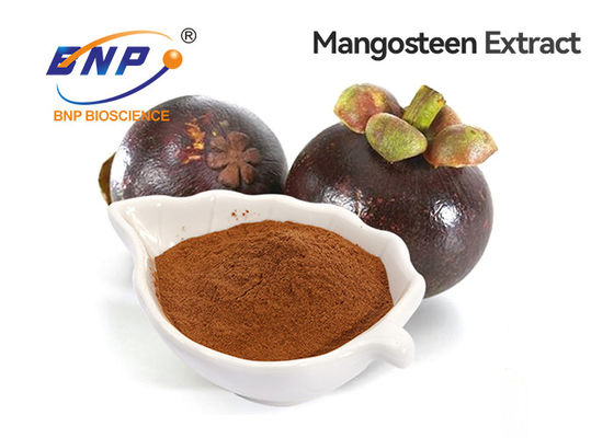 GMP/ISOはBNP中国からの自然な10%-90%アルファmangostinのマンゴスチンのエキスの粉を証明した