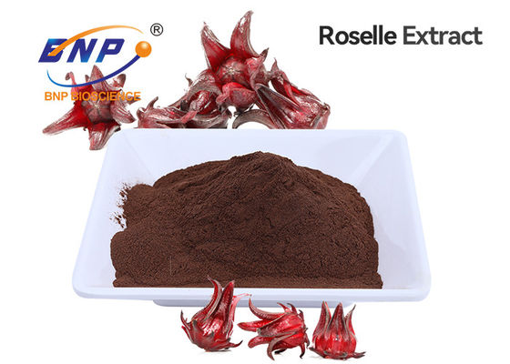 Roselleのエキスのアントシアニン ブラウンの赤い粉