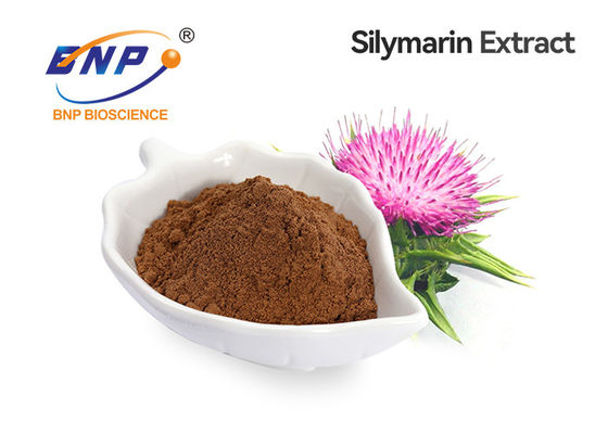 Yelllowの有機性マリア アザミは30% Silybin 80% Silymarinを粉にする