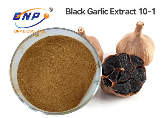 ブラウンの良い粉の黒のニンニクのエキス10-1の多糖類