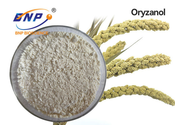 CAS第11042-64-1自然な植物のエキスの白い結晶のガンマのOryzanolの粉