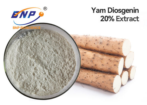 Diosgenin 6%の自然な植物のエキスは白い野生ヤマイモの根の粉を搾り出す