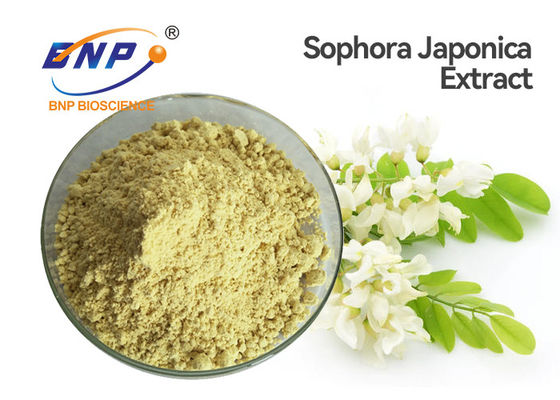 SophoraのJaponicaの黄色いエキスは食品等級のケルセチンの二水化物の粉を粉にする