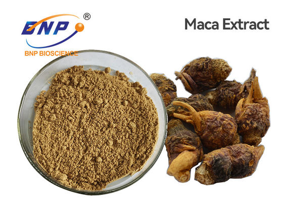 LepidiumのMeyeniiの自然な植物は薄茶の有機性Macaの根の粉を得る