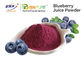 100%の純度のフルーツ野菜の粉の補足のスノキ属のUliginosumの有機性野生のブルーベリーの粉