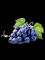 乾燥されたブドウの種のエキス ヴィティス・ヴィニヘラProanthocyanidins 95%