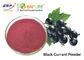 紫色の赤いクロスグリ ジュースの粉の食品等級のスグリ属のNigrumのフルーツのエキス