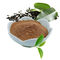 緑茶のエキスの茶ポリフェノール20%-98%ブラウンの白い粉