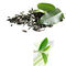 緑茶のエキスの茶ポリフェノール20%-98%ブラウンの白い粉