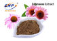 EchinaceaのPurpureaのエキスのポリフェノール4%の食品等級