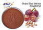 BRCの健康のバランスのブドウの種のエキスの粉の大きさのポリフェノール60%