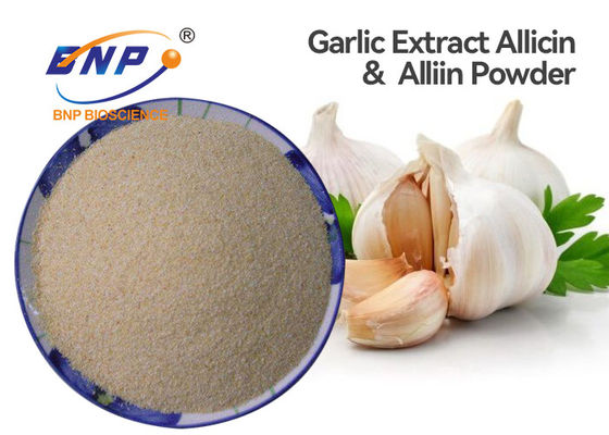 食品等級のAliumの抗生のsativumエキスの白い粉BNPのブランド