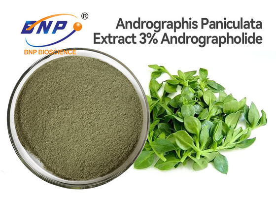 3% Andrographolideの自然な抗ウィルス性の補足のAndrographis Paniculataの葉のエキスの粉
