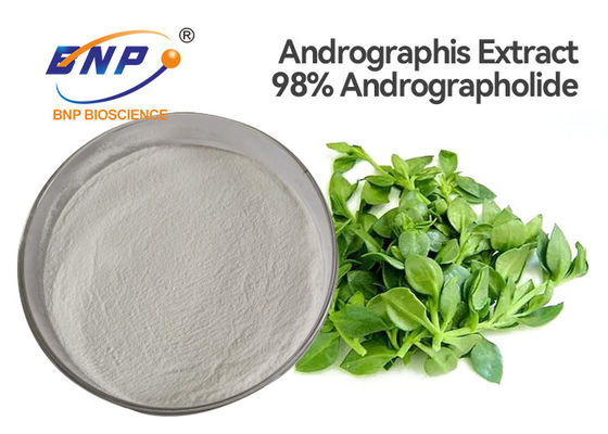 ISO Andrographis Paniculataの葉のエキスは98% Andrographolideを粉にする