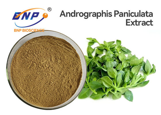 Andrographis抗ウィルス性のPaniculataのエキスは50% Andrographolideの高性能液体クロマトグラフィーを粉にする