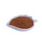 ノコギリ パルメットのエキスの脂肪酸の25%-90%白い粉