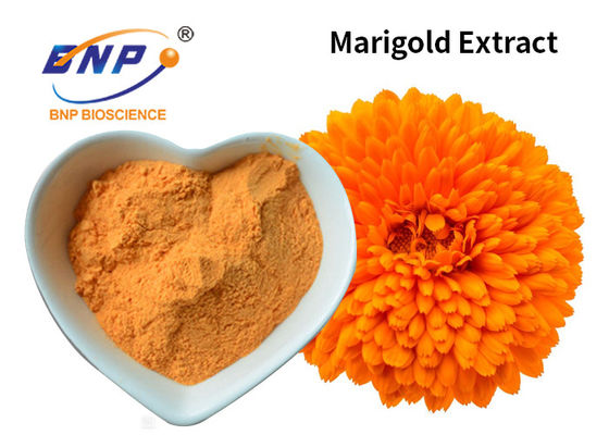 マリーゴールドのエキスの黄色い粉10%~80%のルテインの着色剤の食品添加物Tagetes Erecta L。